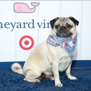 VINEYARD VINES DOG REVERSIBLE BANDANA NWT